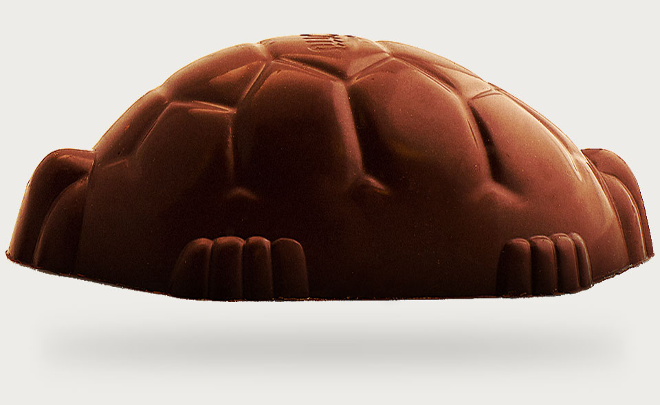 Grafik og billedbehandlings opgave omkring Gigant skildpadde